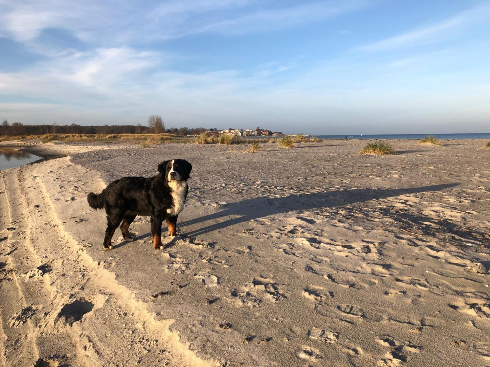 „oberdeck” Hohwacht/ostsee
